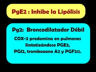 Pg2: Broncodilatador Débil
COX-2 predomina en pulmones
Sintetizándose PGE2,
PGI2, tromboxano A2 y PGF2 .
α
PgE2 : Inhibe la Lipólisis
 