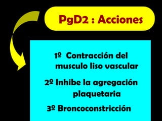 1º Contracción del
musculo liso vascular
2º Inhibe la agregación
plaquetaria
3º Broncoconstricción
PgD2 : Acciones
 