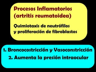 Procesos Inflamatorios
(artritis reumatoidea)
Quimiotaxis de neutrófilos
y proliferación de fibroblastos
1. Broncocostricción y Vasoconstricción
2. Aumenta la presión intraocular
 
