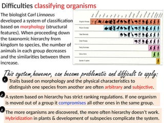 1. A 3.2 HL Classification.pptx IB Biology | PPTX