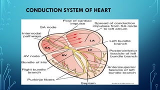 1.pptx power point presentation on pacemaker | PPTX