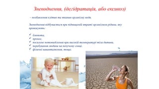 39
Зневоднення, (дегідратація, або ексикоз)
– позбавлення клітин та тканин організму води.
Зневоднення відбувається при підвищеній втраті організмом рідини, яку
провокують:
 блювота,
 пронос,
 посилене потовиділення при високій температурі тіла дитини,
 перебування людини на пекучому сонці,
 фізичні навантаження, тощо.
 
