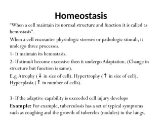 1. Introduction to Pathology & Concept of diseases.pptx