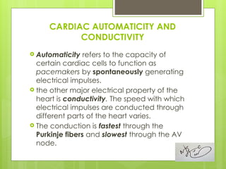 1. Basic ECG.pptxfffffffffffffffffffffffff | PPTX