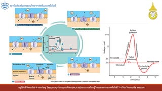 ครูวิชัยลิขิตพรรักษ์ ตาแหน่งครู วิทยฐานะครูชานาญการพิเศษ(คศ.3)กลุ่มสาระการเรียนรู้วิทยาศาสตร์และเทคโนโลยี โรงเรียนวัดราชบพิธ สพม.กท.1
สถาบันส่งเสริมการสอนวิทยาศาสตร์และเทคโนโลยี
 