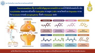 ครูวิชัยลิขิตพรรักษ์ ตาแหน่งครู วิทยฐานะครูชานาญการพิเศษ(คศ.3)กลุ่มสาระการเรียนรู้วิทยาศาสตร์และเทคโนโลยี โรงเรียนวัดราชบพิธ สพม.กท.1
สถาบันส่งเสริมการสอนวิทยาศาสตร์และเทคโนโลยี
Neurotransmitters คือ สารเคมีส่งสัญญาณจากเซลล์ประสาทหนึ่งไปยังอีกเซลล์หนึ่งเช่น
Acetylcholine สมองและกล้ามเนื้อ Endorphin ความสุข GABA คลายวิตกกังวล Dopamine ความ
รัก Serotonin อารมณ์ norepinephrine ตื่นตัว Glutamate จดจา
 