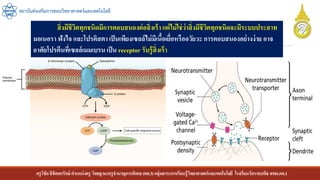 ครูวิชัยลิขิตพรรักษ์ ตาแหน่งครู วิทยฐานะครูชานาญการพิเศษ(คศ.3)กลุ่มสาระการเรียนรู้วิทยาศาสตร์และเทคโนโลยี โรงเรียนวัดราชบพิธ สพม.กท.1
สถาบันส่งเสริมการสอนวิทยาศาสตร์และเทคโนโลยี
สิ่งมีชีวิตทุกชนิดมีการตอบสนองต่อสิ่งเร้า แต่ไม่ใช่ว่าสิ่งมีชีวิตทุกชนิดจะมีระบบประสาท
มอเนอรา ฟังไจ และโปรติสตา เป็นเพียงเซลล์ไม่มีเนื้อเยื่อหรืออวัยวะ การตอบสนองอย่างง่าย อาจ
อาศัยโปรตีนที่เซลล์เมมเบรน เป็น receptor รับรู้สิ่งเร้า
 