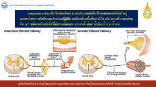 ครูวิชัยลิขิตพรรักษ์ ตาแหน่งครู วิทยฐานะครูชานาญการพิเศษ(คศ.3)กลุ่มสาระการเรียนรู้วิทยาศาสตร์และเทคโนโลยี โรงเรียนวัดราชบพิธ สพม.กท.1
สถาบันส่งเสริมการสอนวิทยาศาสตร์และเทคโนโลยี
autonomic reflex เป็นรีแฟลกซ์ของระบบประสาทอัตโนวัติ ตอบสนองต่อสิ่งเร้าอยู่
นอกเหนืออานาจจิตใจ และมีหน่วยปฏิบัติงานเป็นกล้ามเนื้อเรียบ หัวใจ อวัยวะภายใน และต่อม
ต่าง ๆ การเกิดเพอริสตัลซีสที่ท่อทางเดินอาหารการหลั่งน้าตา น้าย่อย น้าลาย น้านม
 