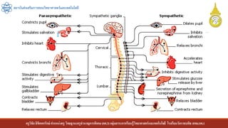 ครูวิชัยลิขิตพรรักษ์ ตาแหน่งครู วิทยฐานะครูชานาญการพิเศษ(คศ.3)กลุ่มสาระการเรียนรู้วิทยาศาสตร์และเทคโนโลยี โรงเรียนวัดราชบพิธ สพม.กท.1
สถาบันส่งเสริมการสอนวิทยาศาสตร์และเทคโนโลยี
 
