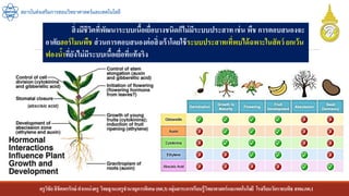 ครูวิชัยลิขิตพรรักษ์ ตาแหน่งครู วิทยฐานะครูชานาญการพิเศษ(คศ.3)กลุ่มสาระการเรียนรู้วิทยาศาสตร์และเทคโนโลยี โรงเรียนวัดราชบพิธ สพม.กท.1
สถาบันส่งเสริมการสอนวิทยาศาสตร์และเทคโนโลยี
สิ่งมีชีวิตที่พัฒนาระบบเนื้อเยื่อบางชนิดก็ไม่มีระบบประสาท เช่น พืช การตอบสนองจะ
อาศัยฮอร์โมนพืช ส่วนการตอบสนองต่อสิ่งเร้าโดยใช้ระบบประสาทเที่พบได้ฉพาะในสัตว์ ยกเว้น
ฟองน้าที่ยังไม่มีระบบเนื้อเยื่อที่แท้จริง
 