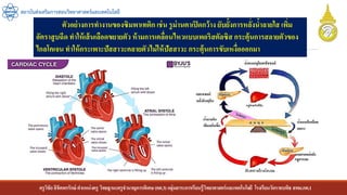 ครูวิชัยลิขิตพรรักษ์ ตาแหน่งครู วิทยฐานะครูชานาญการพิเศษ(คศ.3)กลุ่มสาระการเรียนรู้วิทยาศาสตร์และเทคโนโลยี โรงเรียนวัดราชบพิธ สพม.กท.1
สถาบันส่งเสริมการสอนวิทยาศาสตร์และเทคโนโลยี
ตัวอย่างการทางานของซิมพาเทติก เช่น รูม่านตาเปิดกว้าง ยับยั้งการหลั่งน้าลายใส เพิ่ม
อัตราสูบฉีด ทาให้เส้นเลือดขยายตัว ห้ามการเคลื่อนไหวแบบเพอริสตัลซิส กระตุ้นการสลายตัวของ
ไกลโคเจน ทาให้กระเพาะปัสสาวะคลายตัวไม่ให้ปัสสาวะกระตุ้นการขับเหงื่อออกมา
 