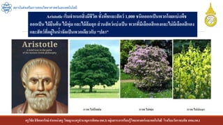 ครูวิชัยลิขิตพรรักษ์ ตาแหน่งครู วิทยฐานะครูชานาญการพิเศษ(คศ.3)กลุ่มสาระการเรียนรู้วิทยาศาสตร์และเทคโนโลยี โรงเรียนวัดราชบพิธ สพม.กท.1
สถาบันส่งเสริมการสอนวิทยาศาสตร์และเทคโนโลยี
Aristotle เริ่มจาแนกสิ่งมีชีวิต ทั้งพืชและสัตว์ 1,000 ชนิดออกเป็นพวกโดยแบ่งพืช
ออกเป็น ไม้ยืนต้น ไม้พุ่ม และไม้ล้มลุก ส่วนสัตว์แบ่งเป็น พวกที่มีเลือดสีแดงและไม่มีเลือดสีแดง
และสัตว์ที่อยู่ในน้าจัดเป็นพวกเดียวกับ “ปลา”
 