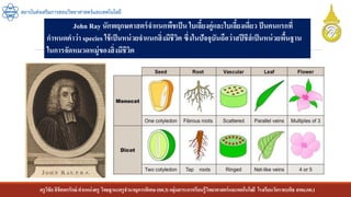 ครูวิชัยลิขิตพรรักษ์ ตาแหน่งครู วิทยฐานะครูชานาญการพิเศษ(คศ.3)กลุ่มสาระการเรียนรู้วิทยาศาสตร์และเทคโนโลยี โรงเรียนวัดราชบพิธ สพม.กท.1
สถาบันส่งเสริมการสอนวิทยาศาสตร์และเทคโนโลยี
John Ray นักพฤกษศาสตร์จาแนกพืชเป็น ใบเลี้ยงคู่และใบเลี้ยงเดี่ยว ป็นคนแรกที่
กาหนดคาว่า species ใช้เป็นหน่วยจาแนกสิ่งมีชีวิต ซึ่งในปัจจุบันถือว่าสปีชีส์เป็นหน่วยพื้นฐาน
ในการจัดหมวดหมู่ของสิ่งมีชีวิต
 