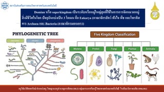 ครูวิชัยลิขิตพรรักษ์ ตาแหน่งครู วิทยฐานะครูชานาญการพิเศษ(คศ.3)กลุ่มสาระการเรียนรู้วิทยาศาสตร์และเทคโนโลยี โรงเรียนวัดราชบพิธ สพม.กท.1
สถาบันส่งเสริมการสอนวิทยาศาสตร์และเทคโนโลยี
Domian หรือ superkingdom เป็นระดับหรือหมู่ใหญ่สุดที่ใช้ในการการจัดหมวดหมู่
สิ่งมีชีวิตในโลก ปัจจุบันแบ่งเป็น 3 โดเมน คือ Eukarya (อาณาจักรสัตว์ ฟังไจ พืช และโพรทิส
ตา) Archaea และ Bacteria (อาณาจักรมอเนอรา)
 