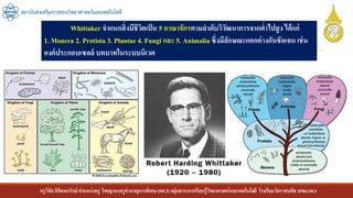 ครูวิชัยลิขิตพรรักษ์ ตาแหน่งครู วิทยฐานะครูชานาญการพิเศษ(คศ.3)กลุ่มสาระการเรียนรู้วิทยาศาสตร์และเทคโนโลยี โรงเรียนวัดราชบพิธ สพม.กท.1
สถาบันส่งเสริมการสอนวิทยาศาสตร์และเทคโนโลยี
Whittaker จาแนกสิ่งมีชีวิตเป็น 5 อาณาจักรตามลาดับวิวัฒนาการจากต่าไปสูงได้แก่
1. Monera 2. Protista 3. Plantae 4. Fungi และ 5. Animalia ซึ่งมีลักษณะแตกต่างกันชัดเจน เช่น
องค์ประกอบเซลล์ บทบาทในระบบนิเวศ
 