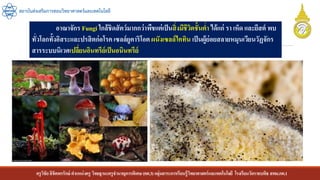 ครูวิชัยลิขิตพรรักษ์ ตาแหน่งครู วิทยฐานะครูชานาญการพิเศษ(คศ.3)กลุ่มสาระการเรียนรู้วิทยาศาสตร์และเทคโนโลยี โรงเรียนวัดราชบพิธ สพม.กท.1
สถาบันส่งเสริมการสอนวิทยาศาสตร์และเทคโนโลยี
อาณาจักร Fungi ใกล้ชิดสัตว์มากกว่าพืชแต่เป็นสิ่งมีชีวิตชั้นต่า ได้แก่ รา เห็ด และยีสต์ พบ
ทั่วโลกทั้งอิสระและปรสิตก่อโรคเซลล์ยูคาริโอต ผนังเซลล์ไคทิน เป็นผู้ย่อยสลายหมุนเวียนวัฏจักร
สารระบบนิเวศเปลี่ยนอินทรีย์เป็นอนินทรีย์
 