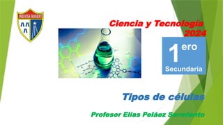Ciencia y Tecnología
2024
Profesor Elías Peláez Sarmiento
Tipos de células
 