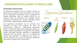 ORGANISMOS UNICELULARES Y PLURICELULARES
ORGANISMOS UNICELULARES
Un organismo unicelular, como su nombre lo indica, es
aquel que se compone de una sola célula. La mayoría
de los organismos unicelulares están compuestos de
células procariotas (que no poseen núcleo en su
interior) como las bacterias. Sin embargo existen
organismos unicelulares con células eucariotas, como
los protozoos, algunas algas y algunos hongos.
Los organismos unicelulares son los primeros que
poblaron la Tierra hace millones de años. De
características simples y organización estructural
básica, los primeros organismos unicelulares poseían un
modelo celular procarionte. El surgimiento del modelo
celular eucarionte permitió aumentar la complejidad
estructural de las células, pero no la cantidad de
células que formaban un organismo (al menos en
primera instancia), por lo que los primeros organismos
eucariontes también fueron unicelulares.
 