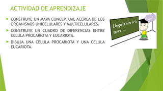 ACTIVIDAD DE APRENDIZAJE
 CONSTRUYE UN MAPA CONCEPTUAL ACERCA DE LOS
ORGANISMOS UNICELULARES Y MULTICELULARES.
 CONSTRUYE UN CUADRO DE DIFERENCIAS ENTRE
CELULA PROCARIOTA Y EUCARIOTA.
 DIBUJA UNA CELULA PROCARIOTA Y UNA CELULA
EUCARIOTA.
 