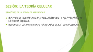 SESIÓN: LA TEORÍA CELULAR
 IDENTIFICAR LOS PERSONAJES Y SUS APORTES EN LA CONSTRUCCIÓN DE
LA TEORIA CELULAR.
 RECONOCER LOS PRINCIPIOS O POSTULADOS DE LA TEORIA CELULAR.
PROPÓSITO DE LA SESION DE APRENDIZAJE
 