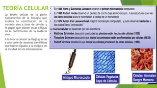 TEORÍA CELULAR
La teoría celular es la parte
fundamental de la Biología que
explica la constitución de la
materia viva a base de células y
el papel que tienen estas células
en la constitución de la materia
viva.
A la teoría celular se llegó gracias
a una serie de avances científicos
que fueron ligados a la mejora de
la calidad de los microscopios.
 