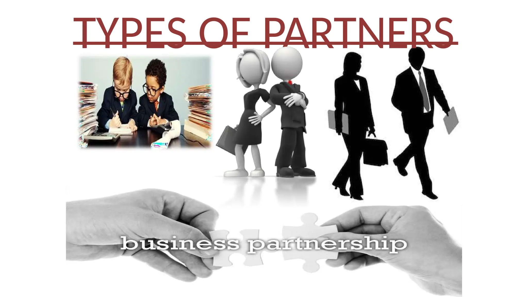 TYPES OF PARTNERS
 