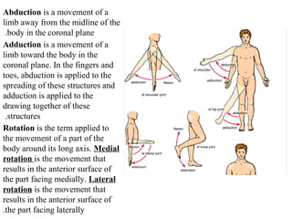 An introduction to the human anatomy for medical students | PPTX