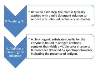 1. ELISA (ppt).pptx ENZYME LINKED IMMUNOSORBENT ESSAY | PPTX