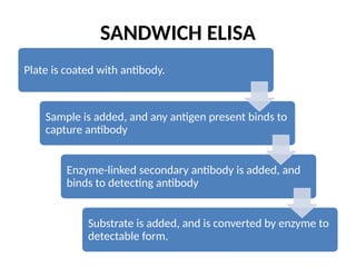 1. ELISA (ppt).pptx ENZYME LINKED IMMUNOSORBENT ESSAY | PPTX