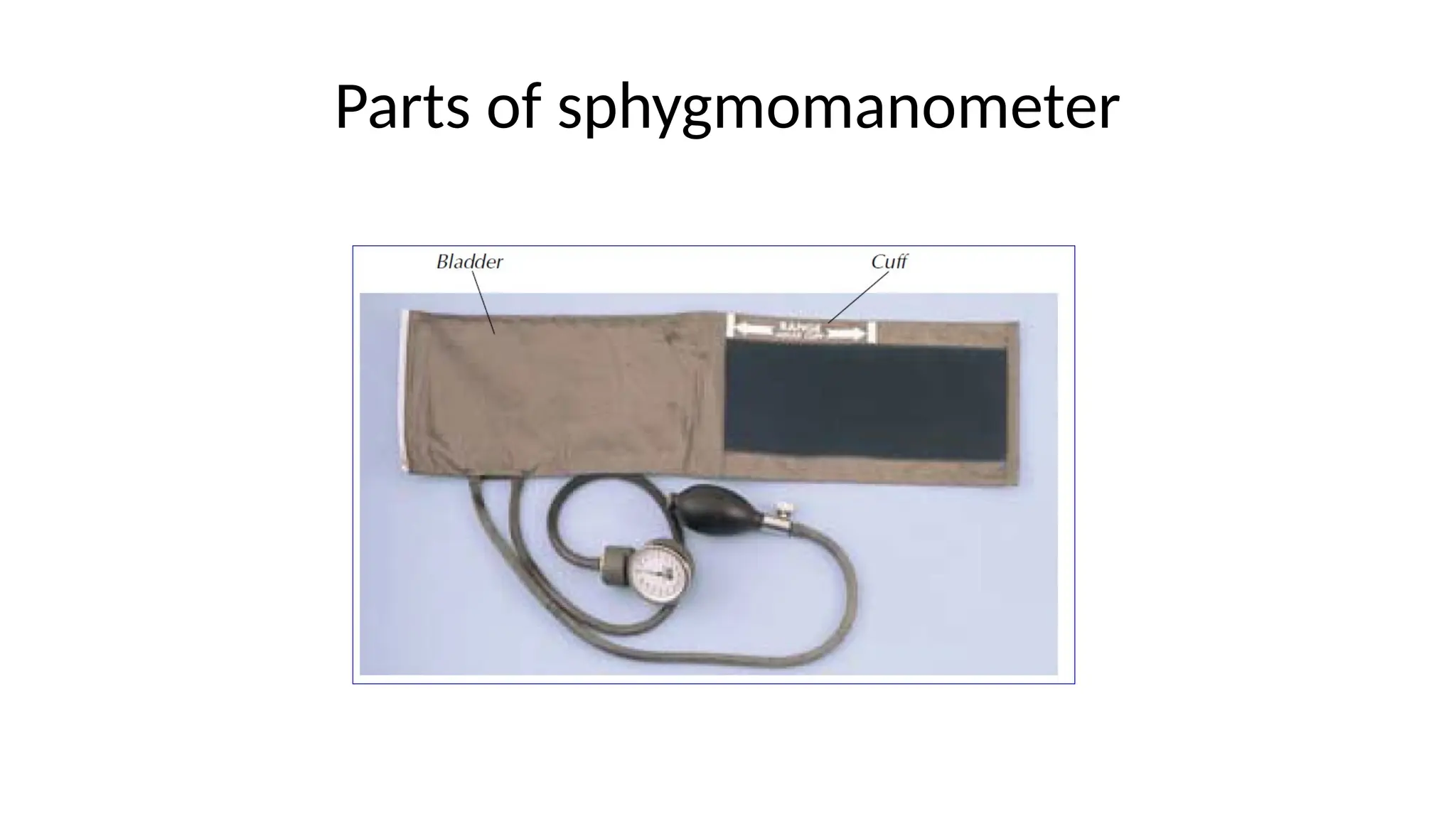 Parts of sphygmomanometer
 