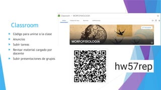 Classroom
 Código para unirse a la clase
 Anuncios
 Subir tareas
 Revisar material cargado por
docente
 Subir presentaciones de grupos
 