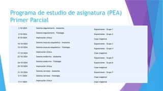 Programa de estudio de asignatura (PEA)
Primer Parcial
1/10/2024 Sistema tegumentario - Anatomía
Exposiciones – Grupo 1
3/10/2024
Sistema tegumentario - Fisiología
Exposiciones – Grupo 2
8/10/2024 Implicación clínica
Clase magistral
10/10/2024
Sistema musculo esqueletico - Anatomía
Exposiciones – Grupo 3
15/10/2024 Sistema musculo esqueletico - Fisiología
Exposiciones – Grupo 4
17/10/2024
Implicación clínica
Clase magistral
22/10/2024 Sistema endócrino - Anatomía
Exposiciones – Grupo 5
24/10/2024
Sistema endócrino - Fisiología
Exposiciones – Grupo 6
29/10/2024 Implicación clínica
Clase magistral
31/10/2024
Sistema nervioso - Anatomía
Exposiciones – Grupo 7
5/11/2024 Sistema nervioso - Fisiología
Clase magistral
7/11/2024
Implicación clínica
Clase magistral
 