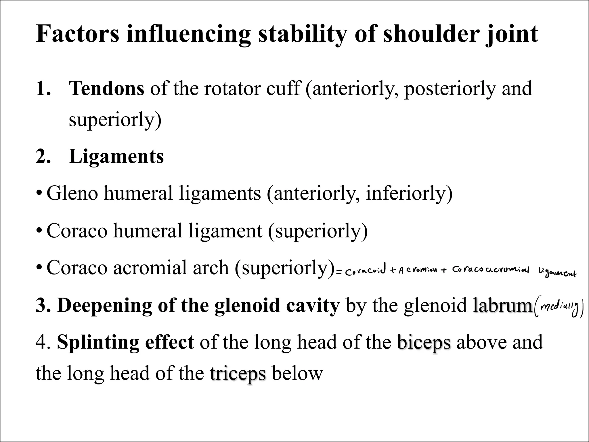 1 2 Upper Limb Pdf Anatomy Of The Upper Limb Ppt