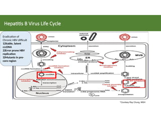 Introduction of hepatitis B virus (HBV).ppt