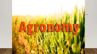 Introduction to Agriculture, intro to agronomy and what is a crop and ...