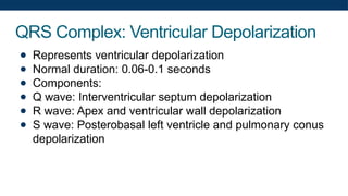 QRS Complex: Ventricular Depolarization
● Represents ventricular depolarization
● Normal duration: 0.06-0.1 seconds
● Components:
● Q wave: Interventricular septum depolarization
● R wave: Apex and ventricular wall depolarization
● S wave: Posterobasal left ventricle and pulmonary conus
depolarization
 