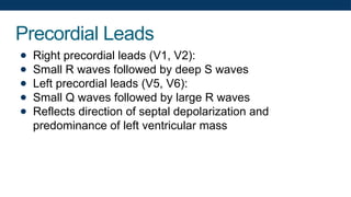 Precordial Leads
● Right precordial leads (V1, V2):
● Small R waves followed by deep S waves
● Left precordial leads (V5, V6):
● Small Q waves followed by large R waves
● Reflects direction of septal depolarization and
predominance of left ventricular mass
 