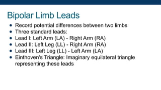 Bipolar Limb Leads
● Record potential differences between two limbs
● Three standard leads:
● Lead I: Left Arm (LA) - Right Arm (RA)
● Lead II: Left Leg (LL) - Right Arm (RA)
● Lead III: Left Leg (LL) - Left Arm (LA)
● Einthoven's Triangle: Imaginary equilateral triangle
representing these leads
 
