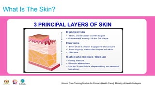 Wound Care Training Module for Primary Health Care | Ministry of Health Malaysia
What Is The Skin?
3 PRINCIPAL LAYERS OF SKIN
 