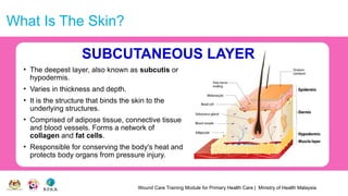 Wound Care Training Module for Primary Health Care | Ministry of Health Malaysia
What Is The Skin?
• The deepest layer, also known as subcutis or
hypodermis.
• Varies in thickness and depth.
• It is the structure that binds the skin to the
underlying structures.
• Comprised of adipose tissue, connective tissue
and blood vessels. Forms a network of
collagen and fat cells.
• Responsible for conserving the body's heat and
protects body organs from pressure injury.
SUBCUTANEOUS LAYER
 