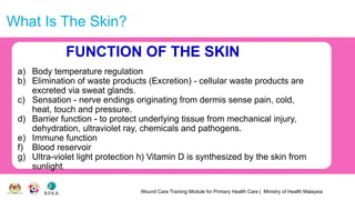 Wound Care Training Module for Primary Health Care | Ministry of Health Malaysia
What Is The Skin?
FUNCTION OF THE SKIN
a) Body temperature regulation
b) Elimination of waste products (Excretion) - cellular waste products are
excreted via sweat glands.
c) Sensation - nerve endings originating from dermis sense pain, cold,
heat, touch and pressure.
d) Barrier function - to protect underlying tissue from mechanical injury,
dehydration, ultraviolet ray, chemicals and pathogens.
e) Immune function
f) Blood reservoir
g) Ultra-violet light protection h) Vitamin D is synthesized by the skin from
sunlight.
 