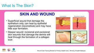 Wound Care Training Module for Primary Health Care | Ministry of Health Malaysia
What Is The Skin?
SKIN AND WOUND
• Superficial wound that damage the
epithelium only, can heal by epithelial
regeneration (reconstitute) and may have
little scar formation.
• Deeper wound; incisional and excisional
skin wounds that damage the dermis will
heal through the formation of a collagen
scar.
 