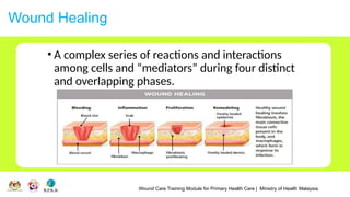 Wound Care Training Module for Primary Health Care | Ministry of Health Malaysia
Wound Healing
• A complex series of reactions and interactions
among cells and “mediators” during four distinct
and overlapping phases.
 