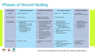 Wound Care Training Module for Primary Health Care | Ministry of Health Malaysia
Phases of Wound Healing
 