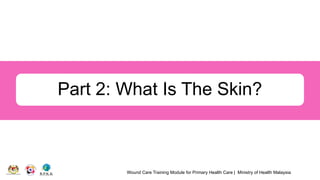 Wound Care Training Module for Primary Health Care | Ministry of Health Malaysia
Part 2: What Is The Skin?
 