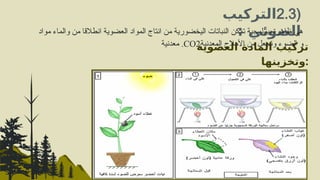 (
2.3
‫التركيب‬
: ‫الضوئي‬
‫العضوية‬ ‫المادة‬ ‫تركيب‬
‫وتخزينها‬:
‫مواد‬ ‫والماء‬ ‫من‬ ‫انطالقا‬ ‫العضوية‬ ‫المواد‬ ‫انتاج‬ ‫من‬ ‫اليخضورية‬ ‫النباتات‬ ‫تمكن‬ ‫بيولوجية‬ ‫ظاهرة‬ ‫هي‬
‫معدنية‬ .CO2‫المعدنية‬ ‫األمالح‬ ‫من‬ ‫وتجعل‬ ‫الضوء‬ ‫و‬
 