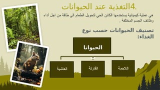 .
4
‫الحيوانات‬ ‫عند‬ ‫التغذية‬
‫أداء‬ ‫اجل‬ ‫من‬ ‫طاقة‬ ‫الى‬ ‫الطعام‬ ‫لتحويل‬ ‫الحي‬ ‫الكائن‬ ‫يستخدمها‬ ‫كيميائية‬ ‫عملية‬ ‫هي‬
‫المختلفة‬ ‫الجسم‬ ‫وظائف‬
.
‫نوع‬ ‫حسب‬ ‫الحيوانات‬ ‫تصنيف‬
‫الغذاء‬
:
‫الالحمة‬
‫الحيوانا‬
‫ت‬
‫العاشبة‬ ‫القارتة‬
 