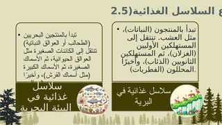 ‫الغذائية‬ ‫السالسل‬ ‫ع‬
(
2.5
• ‫البحريين‬ ‫بالمنتجين‬ ‫تبدأ‬
)‫النباتية‬ ‫العوالق‬ ‫أو‬ ‫(الطحالب‬
‫مثل‬ ‫الصغيرة‬ ‫الكائنات‬ ‫إلى‬ ‫تنتقل‬
‫األسماك‬ ‫ثم‬ ،‫الحيوانية‬ ‫العوالق‬
‫الكبيرة‬ ‫األسماك‬ ‫ثم‬ ،‫الصغيرة‬
‫ا‬ً
‫وأخير‬ ،)‫القرش‬ ‫أسماك‬ ‫(مثل‬
‫المحللون‬.
‫سالسل‬
‫في‬ ‫غذائية‬
‫البحرية‬ ‫البيئة‬
• ) (
، ‫النباتات‬ ‫بالمنتجون‬ ‫تبدأ‬
.
‫إلى‬ ‫تنتقل‬ ‫العشب‬ ‫مثل‬
‫األوليين‬ ‫المستهلكين‬
) (
‫المستهلكين‬ ‫ثم‬ ، ‫الغزالن‬
) (
‫ا‬ً‫وأخير‬ ، ‫الذئاب‬ ‫الثانويين‬
) (
‫الفطريات‬ ‫المحللون‬.
‫في‬ ‫غذائية‬ ‫سالسل‬
‫البرية‬
 