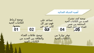 01 03 04
02 05
‫ارتباط‬ ‫توضح‬
‫الحية‬ ‫الكائنات‬
.‫ببعضها‬
‫الغذاء‬ ‫عالقات‬ ‫توضح‬
‫من‬ ‫العديد‬ ‫بين‬ ‫والطاقة‬
‫الحية‬ ‫الكائنات‬
‫على‬ ‫تساعد‬
‫كل‬ ‫دور‬ ‫فهم‬
‫في‬ ‫حي‬ ‫كائن‬
‫البيئة‬
‫بين‬ ‫توازنا‬ ‫توفر‬
‫الحية‬ ‫الكائنات‬
‫تشترك‬ ‫كيف‬ ‫توضح‬
‫الحية‬ ‫الكائنات‬ ‫من‬ ‫العديد‬
‫نفس‬ ‫من‬ ‫المختلفة‬
‫البقاء‬ ‫أجل‬ ‫من‬ ‫الغذاء‬
‫والنمو‬
‫الغذائية‬ ‫الشبكة‬ ‫أهمية‬
 