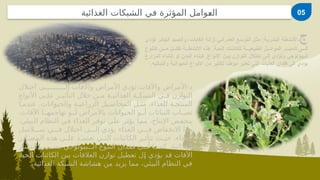 : -
‫اختالل‬ ‫إل^^^^^^^^^^^ى‬ ‫واآلفات‬ ‫األمراض‬ ‫تؤدي‬ ‫واآلفات‬ ‫األمراض‬ ‫د‬
‫األنواع‬ ‫^ى‬
^‫عل‬ ‫^ر‬
^‫التأثي‬ ‫خالل‬ ‫^ن‬
^‫م‬ ‫^ة‬
^‫الغذائي‬ ‫^ة‬
^‫الشبك‬ ‫^ي‬
^‫ف‬ ‫التوازن‬
.
‫عندم^ا‬ ‫والحيوانات‬ ‫الزراعي^ة‬ ‫المحاص^يل‬ ‫مث^ل‬ ،‫للغذاء‬ ‫المنتج^ة‬
،‫اآلفات‬ ‫تهاجمه^^ا‬ ‫أ^^و‬ ‫باألمراض‬ ‫الحيوانات‬ ‫أ^^و‬ ‫النباتات‬ ‫تص^^اب‬
.‫^بيئي‬
‫ل‬‫ا‬ ‫النظام‬ ‫^ي‬
‫ف‬ ‫الغذاء‬ ‫^ر‬
‫ف‬‫تو‬ ‫^ى‬
‫ل‬‫ع‬ ‫^ر‬
‫ث‬‫يؤ‬ ‫^ا‬
‫م‬‫م‬ ،‫اإلنتاج‬ ‫^ض‬
‫ف‬‫ينخ‬
‫س^^^السل‬ ‫ف^^^ي‬ ‫اختالل‬ ‫إل^^^ى‬ ‫يؤدي‬ ‫الغذاء‬ ‫ف^^^ي‬ ‫االنخفاض‬ ‫هذا‬
‫^ادر‬
^‫المص‬ ‫هذه‬ ‫^ى‬
^‫عل‬ ‫^د‬
^‫تعتم‬ ‫^ي‬
^‫الت‬ ‫الكائنات‬ ‫^ر‬
^‫تتأث‬ ‫^ث‬
^‫حي‬ ،‫الغذاء‬
.
‫انتشار‬ ‫بس^^^بب‬ ‫ال^^^بيولوجي‬ ‫التنوع‬ ‫فقدان‬ ‫أ^^^ن‬ ‫كم^^^ا‬ ‫الغذائية‬
‫الحية‬ ‫الكائنات‬ ‫بين‬ ‫العالقات‬ ‫توازن‬ ‫تعطيل‬ ‫^ل‬
‫إ‬ ‫يؤدي‬ ‫^د‬
‫ق‬ ‫اآلفات‬
.‫الغذائية‬ ‫الشبكة‬ ‫هشاشة‬ ‫من‬ ‫يزيد‬ ‫مما‬ ،‫البيئي‬ ‫النظام‬ ‫في‬
‫ج‬
‫تؤدي‬ ‫ر‬6‫ئ‬‫الجا‬ ‫يد‬6‫ص‬‫وال‬ ،‫الغابات‬ ‫ة‬6‫ل‬‫إزا‬،‫ي‬6‫ن‬‫العمرا‬ ‫ع‬6‫س‬‫التو‬ ‫ل‬6‫ث‬‫م‬ :‫ة‬6‫ي‬‫البشر‬ ‫ة‬6‫ط‬‫األنش‬-
‫التنوع‬ ‫ن‬666‫م‬ ‫ل‬666‫تقل‬ ‫ة‬666‫االنشط‬ ‫هذه‬ .‫الحية‬ ‫للكائنات‬ ‫ة‬666‫الطبيعي‬ ‫ل‬666‫الموائ‬ ‫ر‬666‫تدمي‬ ‫ى‬666‫ال‬
‫المزارع‬ ‫إنشاء‬ ‫او‬ ‫المدن‬ ‫كبناء‬ .‫االنواع‬ ‫ن‬6‫بي‬ ‫التوازن‬ ‫اختالل‬ ‫ى‬6‫إل‬ ‫وتؤدي‬ ‫بيولوجي‬6‫ال‬
.‫والنباتيه‬ ‫الحيوانية‬ ‫االنواع‬ ‫من‬ ‫للكثير‬ ‫موطنا‬ ‫تعتبر‬ ‫التي‬ ‫الغابات‬ ‫فقدان‬ ‫الى‬ ‫يؤدي‬
05
‫الغذائية‬ ‫الشبكات‬ ‫في‬ ‫المؤثرة‬ ‫^وامل‬
‫ع‬‫ال‬
 